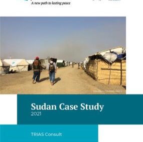 Case Study of the Sudan peace process