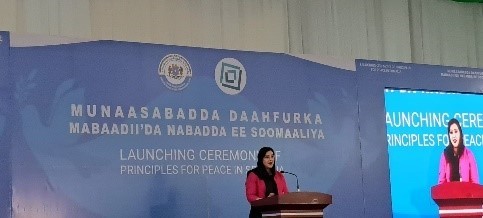 Principles for Peace in Somalia 04