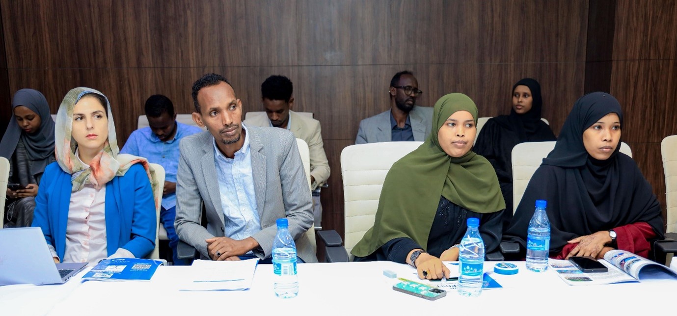 Somalia peace game 2025